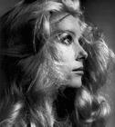 写真 #186：凯瑟琳·德纳芙 Catherine Deneuve