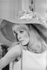 写真 #202：凯瑟琳·德纳芙 Catherine Deneuve