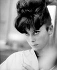写真 #190：凯瑟琳·德纳芙 Catherine Deneuve