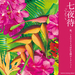 七夜待 桌面 #01A