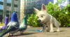 闪电狗/Bolt(2008)