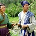 剧照 #11 省略图