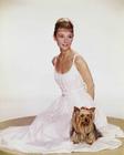 写真 #27：奥黛丽·赫本 Audrey Hepburn