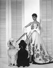 写真 #28：奥黛丽·赫本 Audrey Hepburn