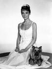 写真 #52：奥黛丽·赫本 Audrey Hepburn