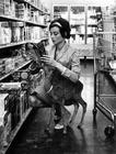 写真 #55：奥黛丽·赫本 Audrey Hepburn