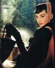 写真 #56：奥黛丽·赫本 Audrey Hepburn