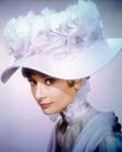 奥黛丽·赫本/Audrey Hepburn