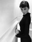 奥黛丽·赫本/Audrey Hepburn