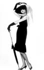 写真 #179：奥黛丽·赫本 Audrey Hepburn