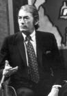 写真 #53：格利高里·派克 Gregory Peck