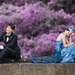 写真 #182 省略图