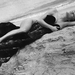 写真 #150 省略图
