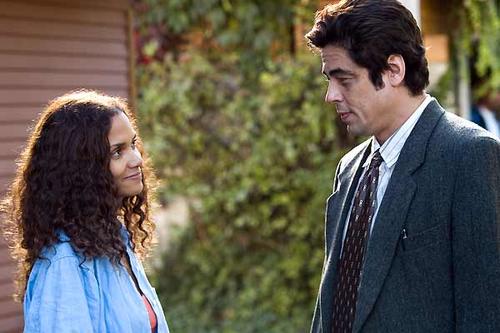 遗失在火中的记忆Things We Lost in the Fire(2007)剧照 #31