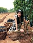 写真 #54：张静初 Jingchu Zhang