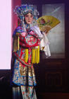 写真 #0011：余少群 Shaoqun Yu