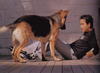 写真 #111：张国荣 Leslie Cheung