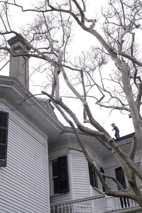 《本杰明·巴顿奇事》(《the curious case of b