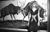 写真 #32：海瑟·格拉汉姆 Heather Graham
