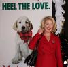 生活照 #127：凯瑟琳·海格尔 Katherine Heigl