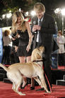 马利和我 新闻图片 #02