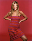 写真 #130：莎拉·米歇尔·盖拉 Sarah Michelle Gellar
