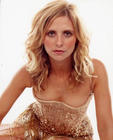 写真 #134：莎拉·米歇尔·盖拉 Sarah Michelle Gellar