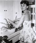 生活照 #10：奥黛丽·赫本 Audrey Hepburn