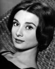 写真 #146：奥黛丽·赫本 Audrey Hepburn