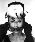 写真 #50：奥黛丽·赫本 Audrey Hepburn