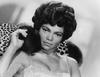 写真 #03：艾萨·凯特 Eartha Kitt
