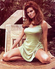 写真 #128：拉蔻儿·薇芝 Raquel Welch