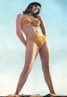 写真 #131：拉蔻儿·薇芝 Raquel Welch