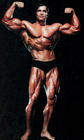 写真 #31：阿诺·施瓦辛格 Arnold Schwarzenegger