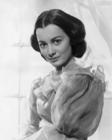 写真 #18：奥利维娅·德哈维兰 Olivia de Havilland