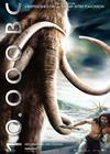 史前一万年/10,000 B.C.(2008) 电影图片 角色海报(德国) #04 省略图