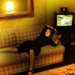 写真 #01：艾敬 Jing Ai