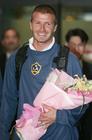 生活照 #11：大卫·贝克汉姆 David Beckham