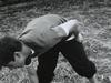写真 #62：乔什·哈奈特 Josh Hartnett