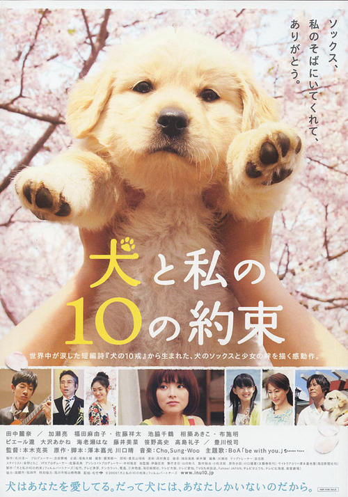 狗狗与我的十个约定10 Promises to my Dog(2008)海报 #01