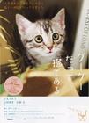 咕咕是一只猫 海报 #02