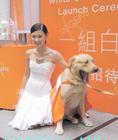 生活照 #344：张柏芝 Cecilia Cheung