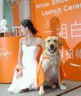 生活照 #343：张柏芝 Cecilia Cheung