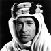 写真 #0003：彼德·奥图 Peter O'Toole