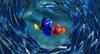 海底总动员/Finding Nemo(2003)