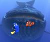 海底总动员/Finding Nemo(2003)