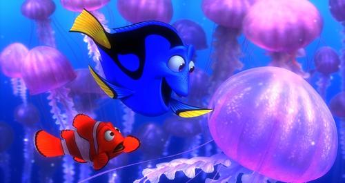 海底总动员/Finding Nemo(2003) 电影图片 剧照 #07 大图 1023X542