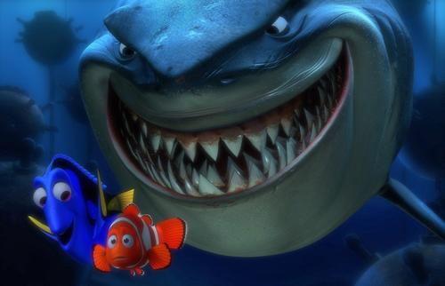 海底总动员/Finding Nemo(2003) 电影图片 剧照 #05 大图 1023X659