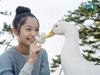 写真 #143：宫崎葵 Aoi Miyazaki