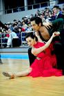 斗爱/Dou Ai(2009)